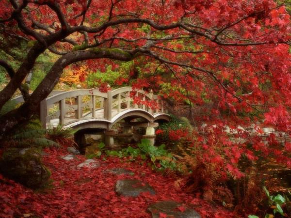 Japonská záhrada-strom-s-červenými listami-a-pekným mostom