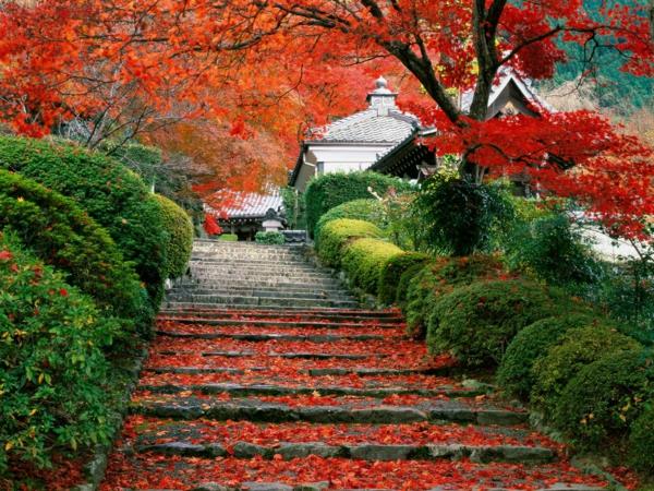 Japonská záhrada-schodisko-v Kjóte