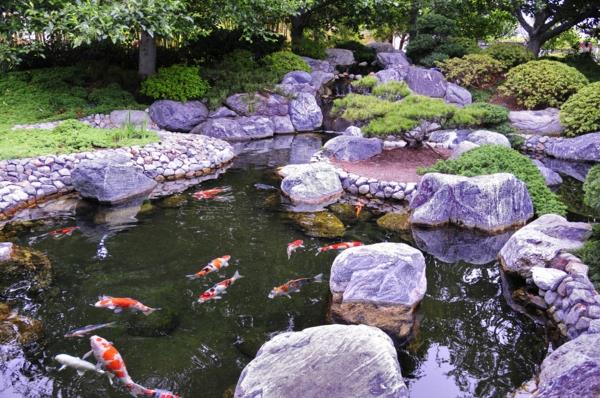 japonská záhrada-jazero-s-ozdobnými rybami
