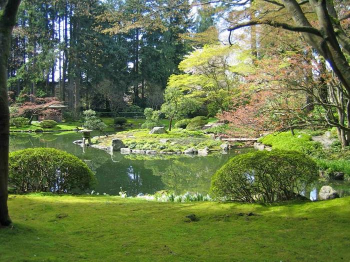 japanska-zen-orientaliska-trädgård-kreativa-idé-träd
