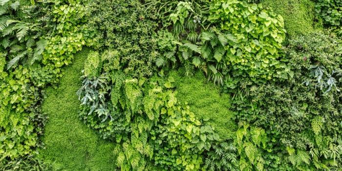 vertikálna záhrada s niekoľkými odtieňmi zelenej, geometrické vzory, vonkajšia zelená stena, zelená stena, zelená priečka