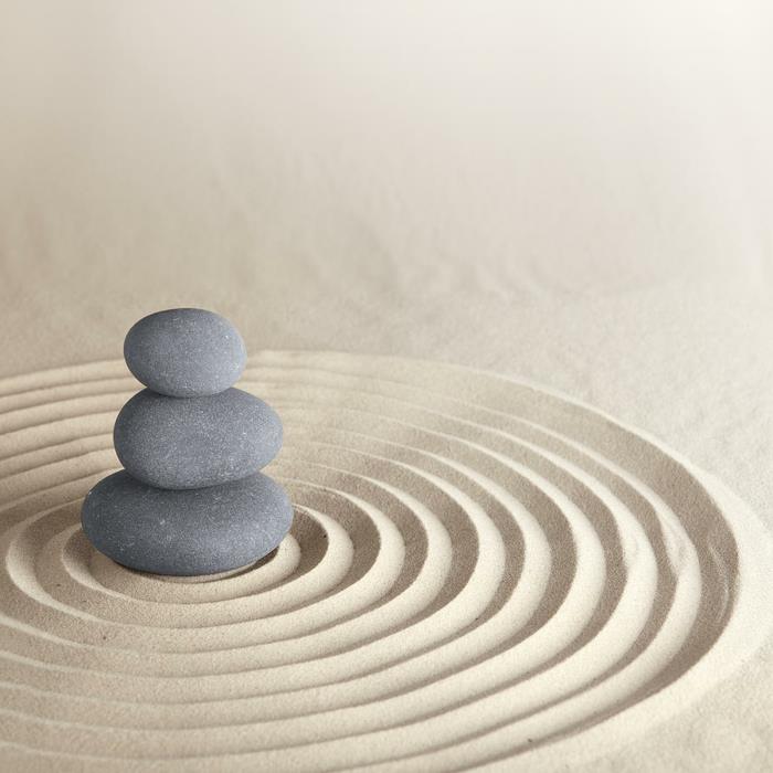 japansk-zen-trädgård-idéer-exteriör-japansk-zen-trädgård