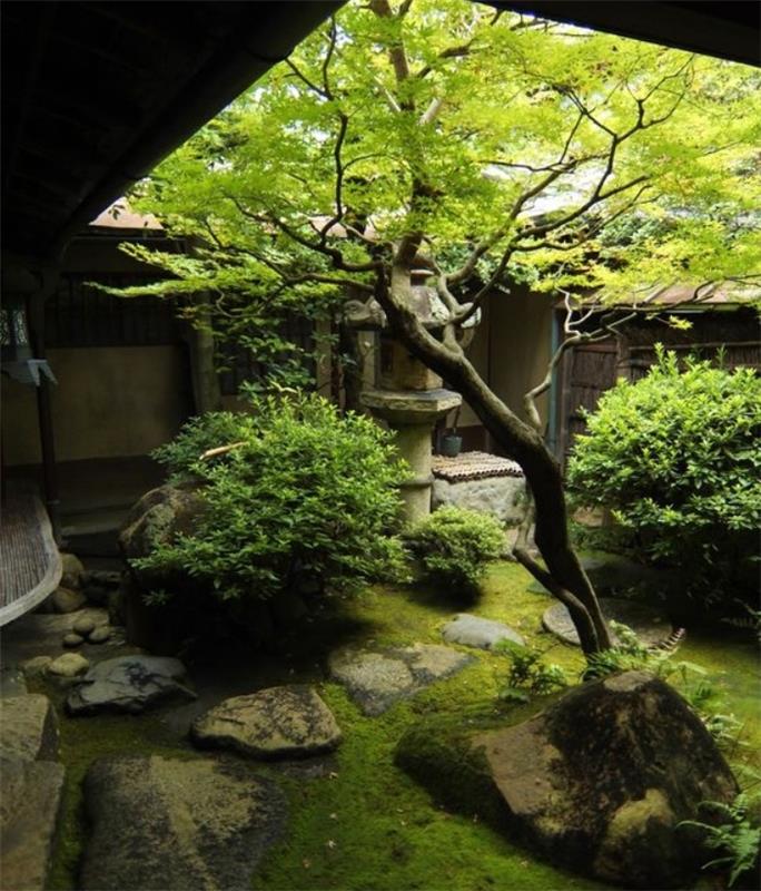 الفناء الداخلي للمنزل الياباني ، الأرض المغطاة بالطحالب ، والأشجار ذات الأوراق الخضراء وخشب البقس الأخضر ، نموذج زينة زن