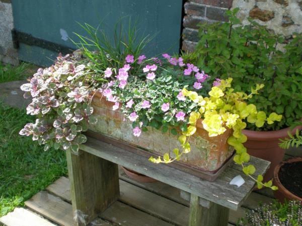 perenn-resized-planter