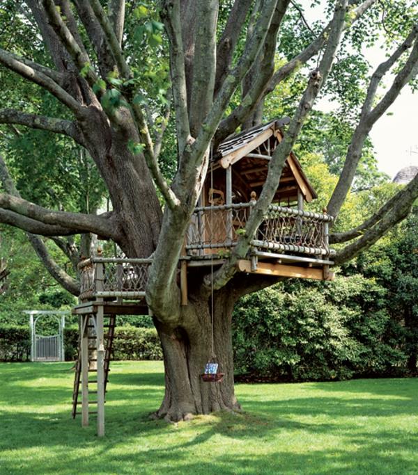 jilie-chatka-v-stromoch-luxusne-