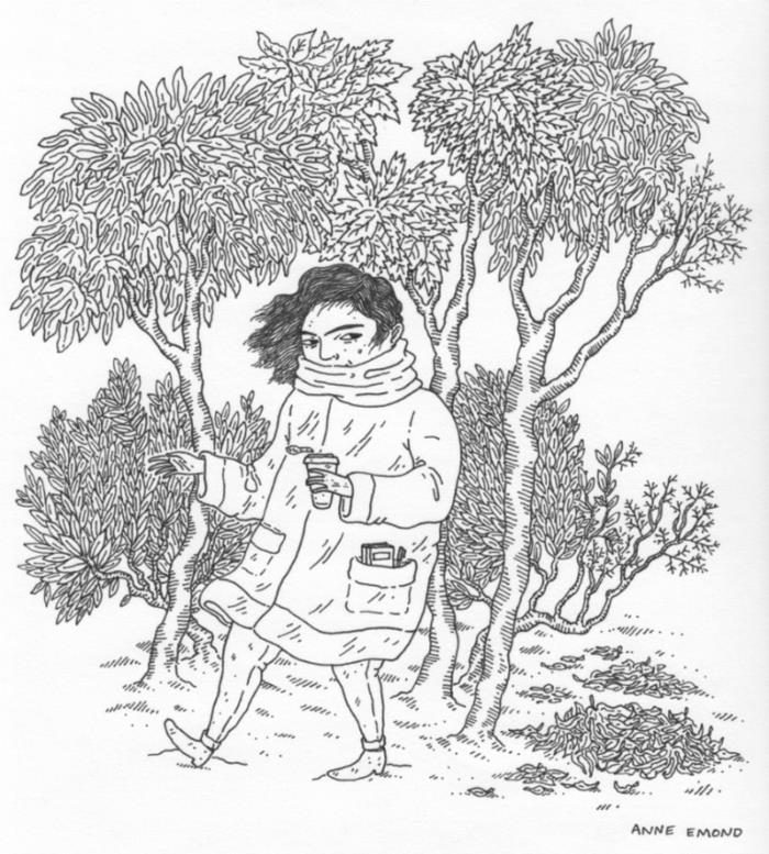 رسم الطبيعة لشجرة لرسم صورة شجرة الخريف لامرأة الشتاء بارد الرسم بقلم رصاص أسود
