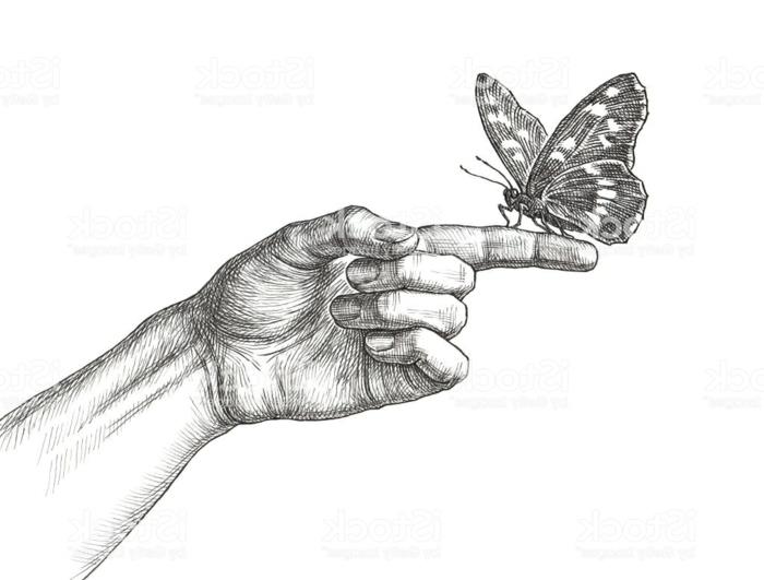 رسم يدوي وفراشي مثالي للمبتدئين لبدء رسم الفراشة على الإصبع