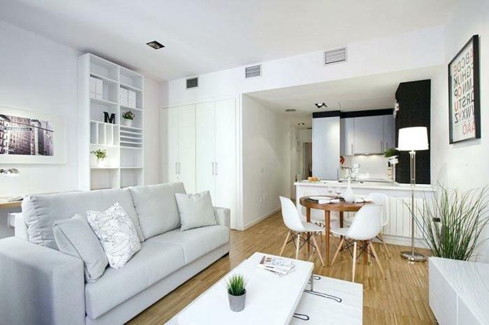 تصميم شقة حديث وأريكة رمادية وطاولة غرفة معيشة طويلة وأرضية خشبية ورف أبيض ومطبخ صغير للاستوديو