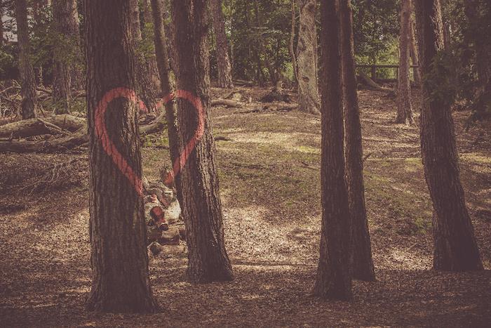 Vacker flickaktigt tapet iphone låsskärm coolt foto för iphone träd i skogen