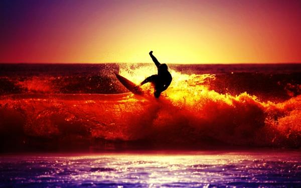 the-surf-beach-in-the-sun