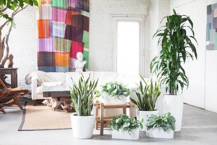 umelecká dekorácia obývačky s originálnymi izbovými rastlinami v bielych kvetináčoch, bielou sedačkou, tkaným kobercom, bielou tehlovou stenou a farebným dekoratívnym panelom