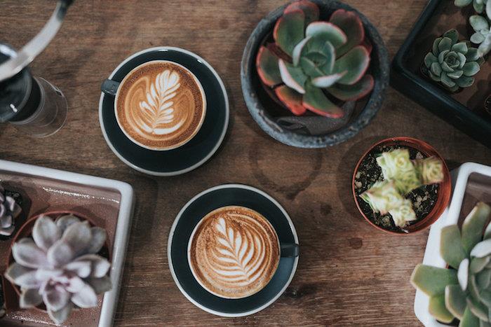 latte umenie kaviarní s kresbami na penových dvoch šálkach na drevenom stole vedľa kaktusov