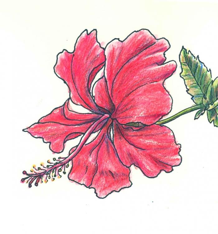Červený kvet so zelenými listami, naučte sa kresliť jednoduchý dizajn kvetinového tetovania