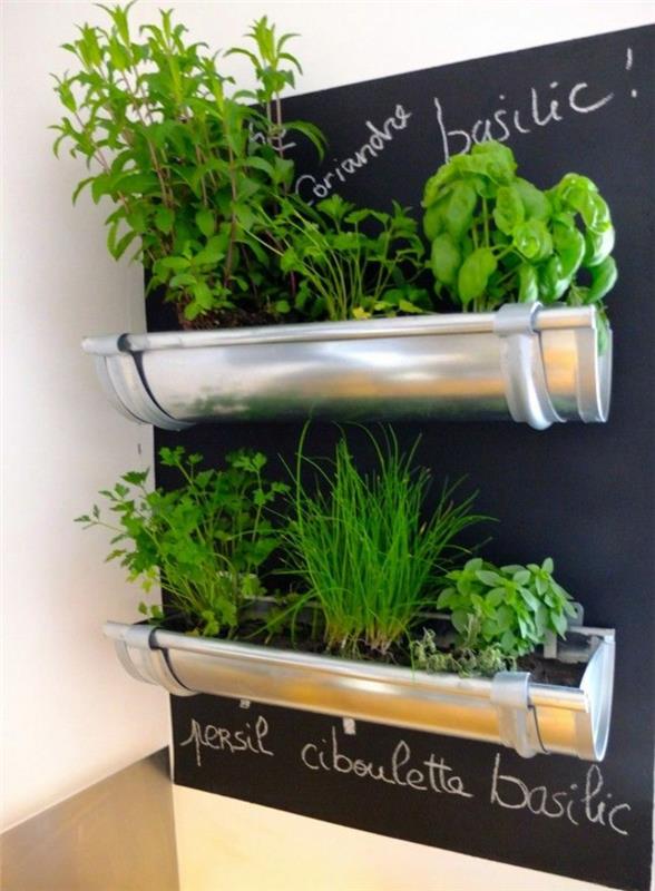 tabuľa-kuchyňa-čierna-bridlica-interiér-stena-dekorácia-zelené-rastliny