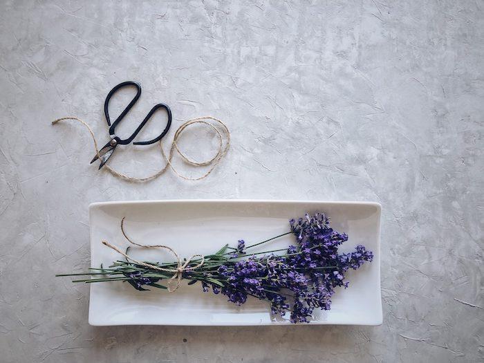 fördelarna med lavendel ett gäng lavendel på en tallrik bunden med en tråd