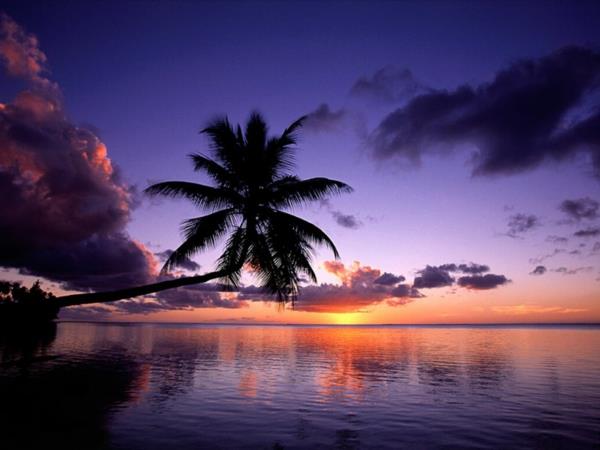 najkrajšie destinácie na svete-palmové more-slnko