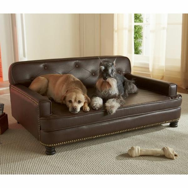 hund-säng-aristokratisk-design-bäddsoffa