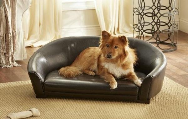 lyx-design-hund-säng-i-läder