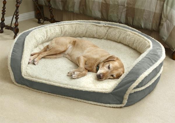 hund-säng-en-bekväm-säng