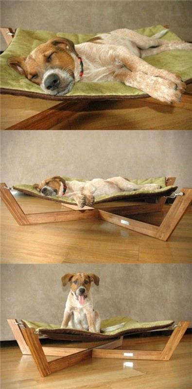 hund-säng-en-hängmatta-säng