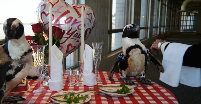 magnifika-virtuella-figur-glada-valentin-pingviner