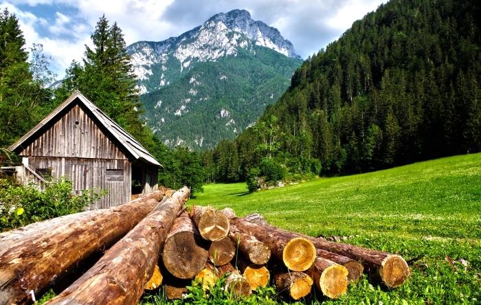 drevená chatka v lese ihličnatých stromov, ktorá ponúka výhľad na zasnežené horské kopce, tapeta na pozadí prírody