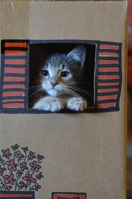 kartongkatthus, söt katt i en dekorerad pappkasse