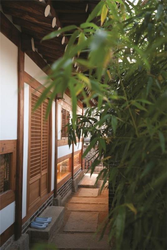 japonský dom-zelené rastliny