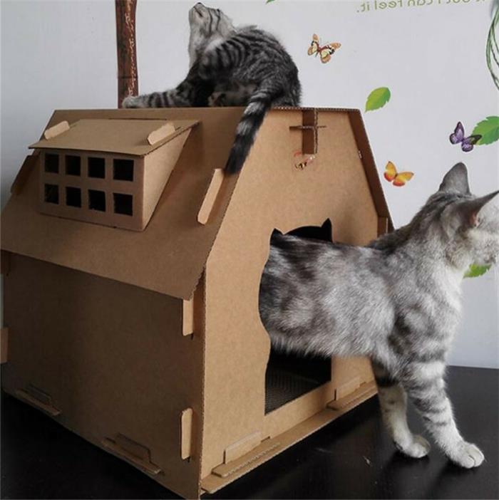 pappkatthus, två katter som leker i huset