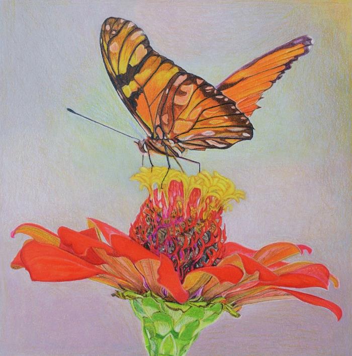زهرة وفراشة ترسمان أفكارًا ملونة لرسم الفراشة لرسم رائع