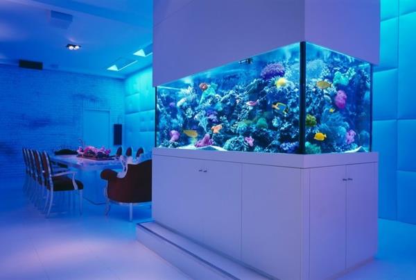 akvarijny nabytok-v-bielej-izbe