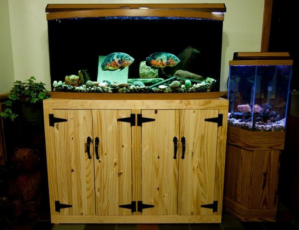 akvarijny nabytok-pekna-ryba