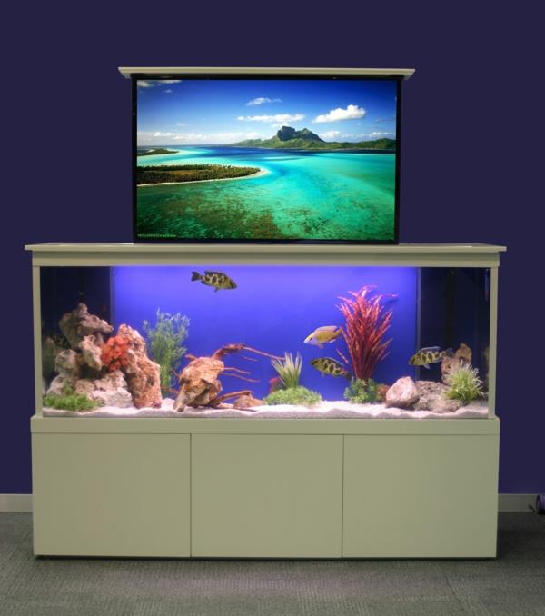 akvarijna-skrinka-tv-skrinka