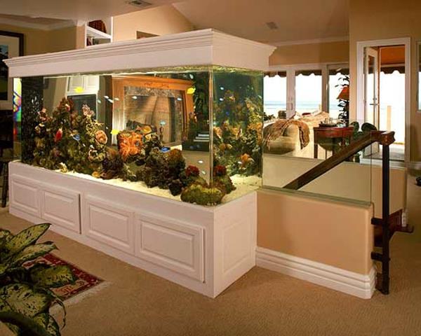 akvárium-nábytok-veľký-originál-akvárium