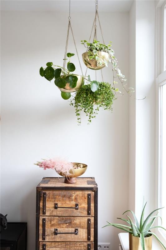 hur man dekorerar ett rum med gröna växter, exempel på en blomsterupphängning för att göra dig själv med en behållare målad i guld- och guldkedja
