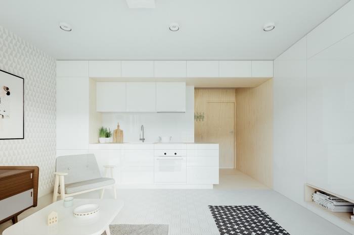 biela dispozícia otvorenej kuchyne, malá biela kuchyňa v minimalistickom štýle, myšlienka otvorenej kuchyne