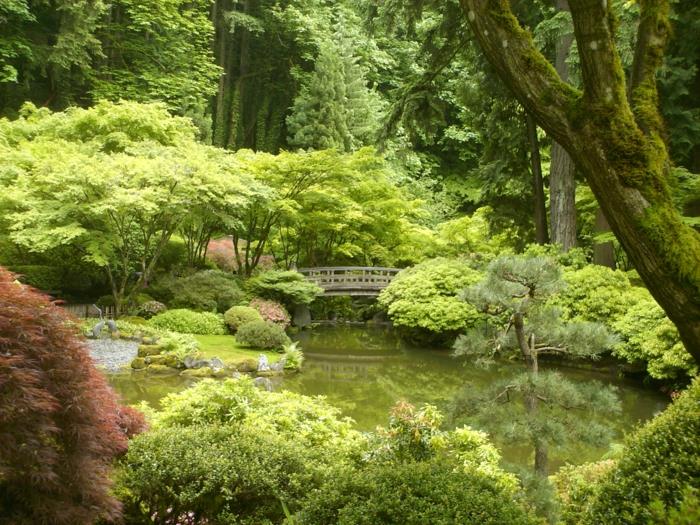 mini-japansk-zen-trädgård-diy-idé-japansk-zen-trädgård