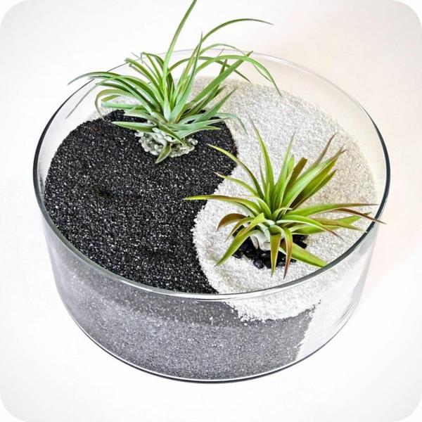 mini-zen-trädgård-liten-symbolisk-trädgård