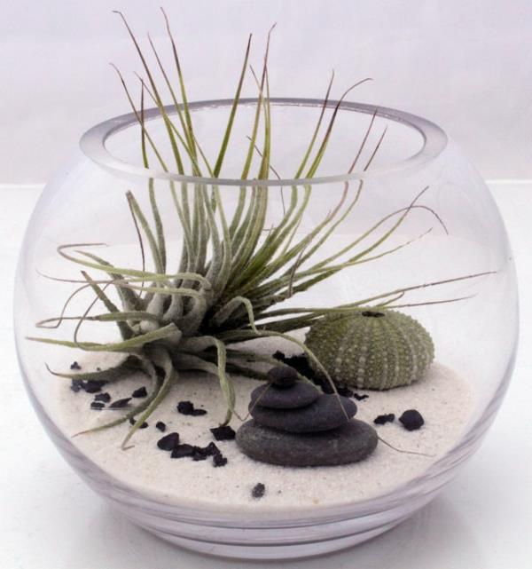 mini-trädgård-zen-terarium