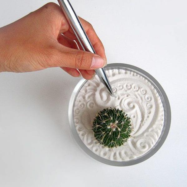 mini-zen-trädgård-en-liten-original-trädgård