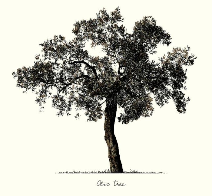 رسم شجرة سهل لرسم شجرة رسم سهل رسم شجرة