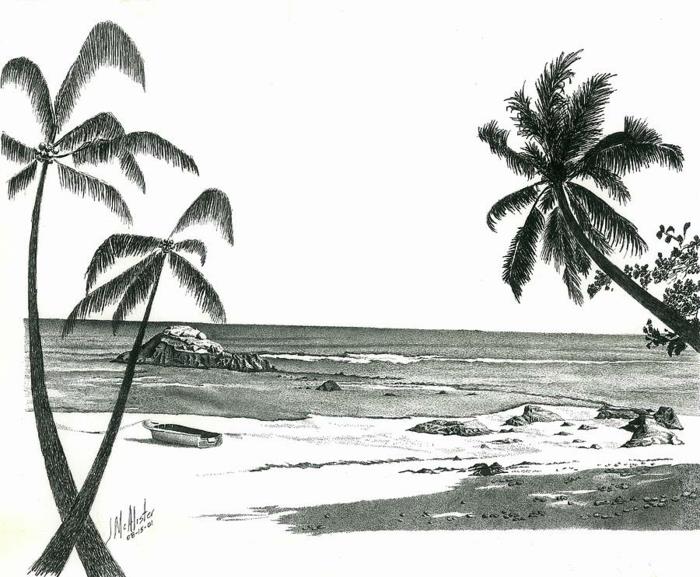 شجرة رسم شجرة رسم قلم رصاص أسود رسم المناظر الطبيعية الجميلة على الشاطئ رسم النخيل