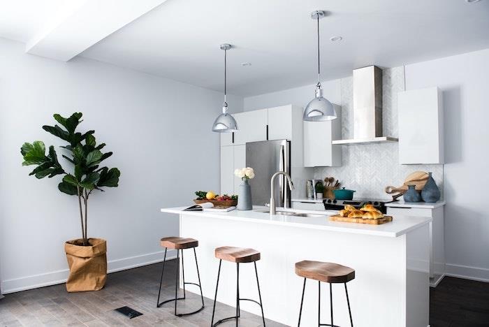 Vysoká zelená rastlina v bielej kuchyni, jednoduchá škandinávska asociácia farieb deco, kuchynský trend 2020 inšpirácia deco
