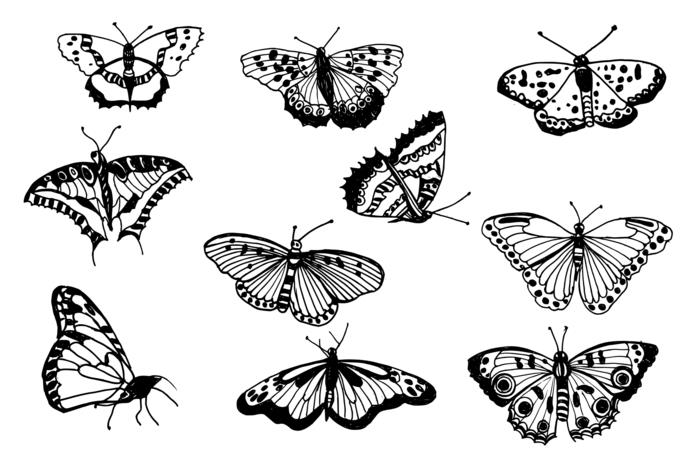 نمط رسم فراشة سهل ، صورة لإلهام تصاميم الفراشة بأنماط مختلفة