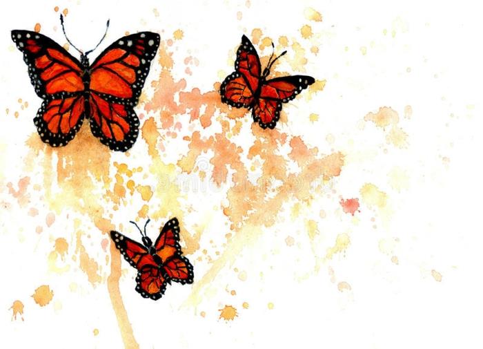 رسم لطيف فراشة العاهل ، أجمل الفراشات ، رائع وملون بالرسم بالأسود والأبيض