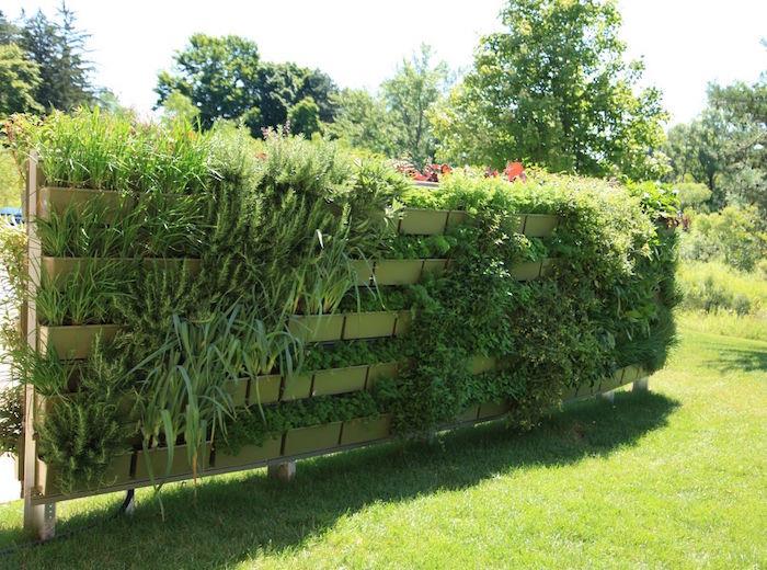 stor brisplanter som en grön vägg för att dölja trädgården