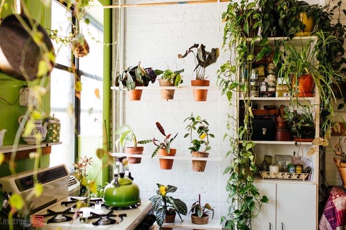hur man ordnar dina växter i ett begränsat utrymme med vertikalt stöd, hängande växter på DIY -stöd