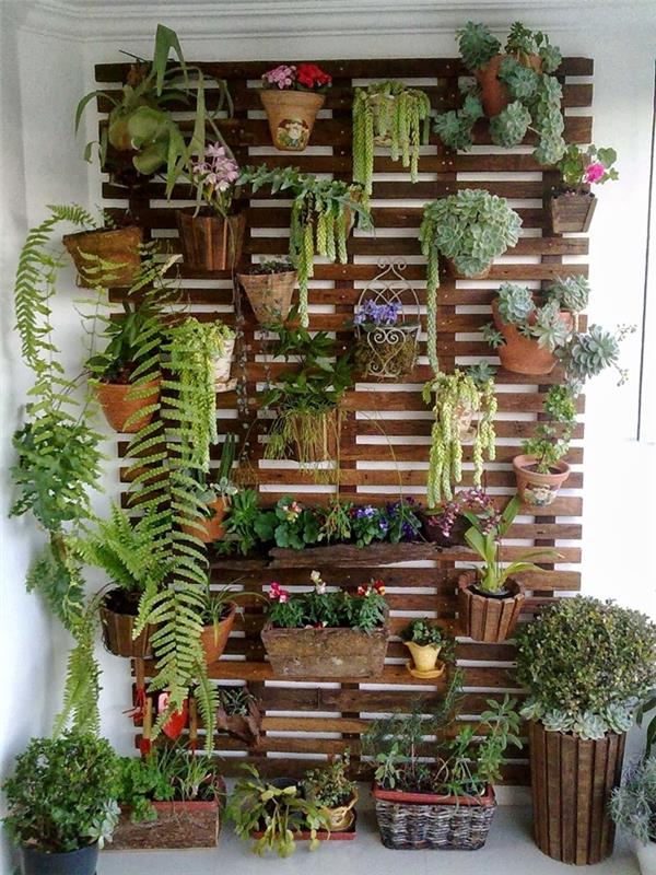 växtvägg i pall lätt konstruktion blomkrukor saftig terrakottadekoration liten balkong