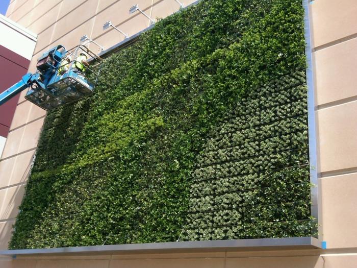 vonkajšia rastlinná stena, veľký hliníkový panel v tvare štvorca, zelená vegetácia, tím, ktorý udržiava túto zelenú stenu, biele bodové svetlá s dlhým ramenom osvetľujúce tento zelený panel
