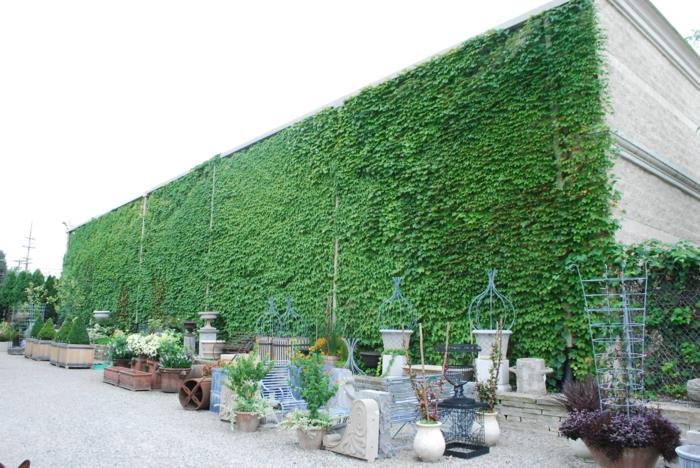exteriérová zelená stena veľkej budovy na výrobu keramiky a kamenných váz, vertikálna záhrada, svetlo sivé steny, zelená stena